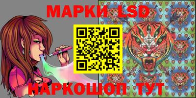 скорость Будённовск