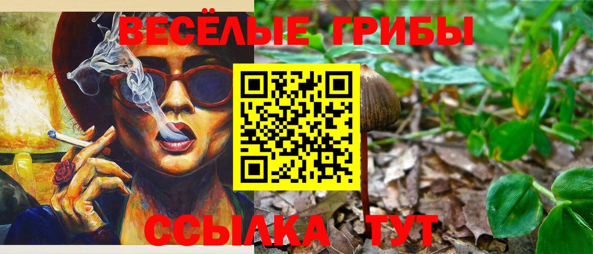 Псилоцибиновые грибы мухоморы Рославль