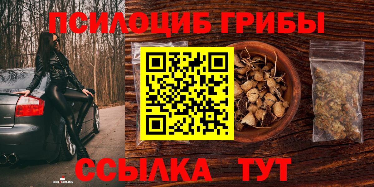 Рославль  Псилоцибиновые грибы Cubensis  Псилоцибиновые грибы Psilocybe  Вход с VPN 